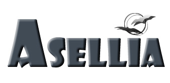 asellia access france securite alarme protection vigilance video surveillance demarque inconnue antenne portique AM RF EM 